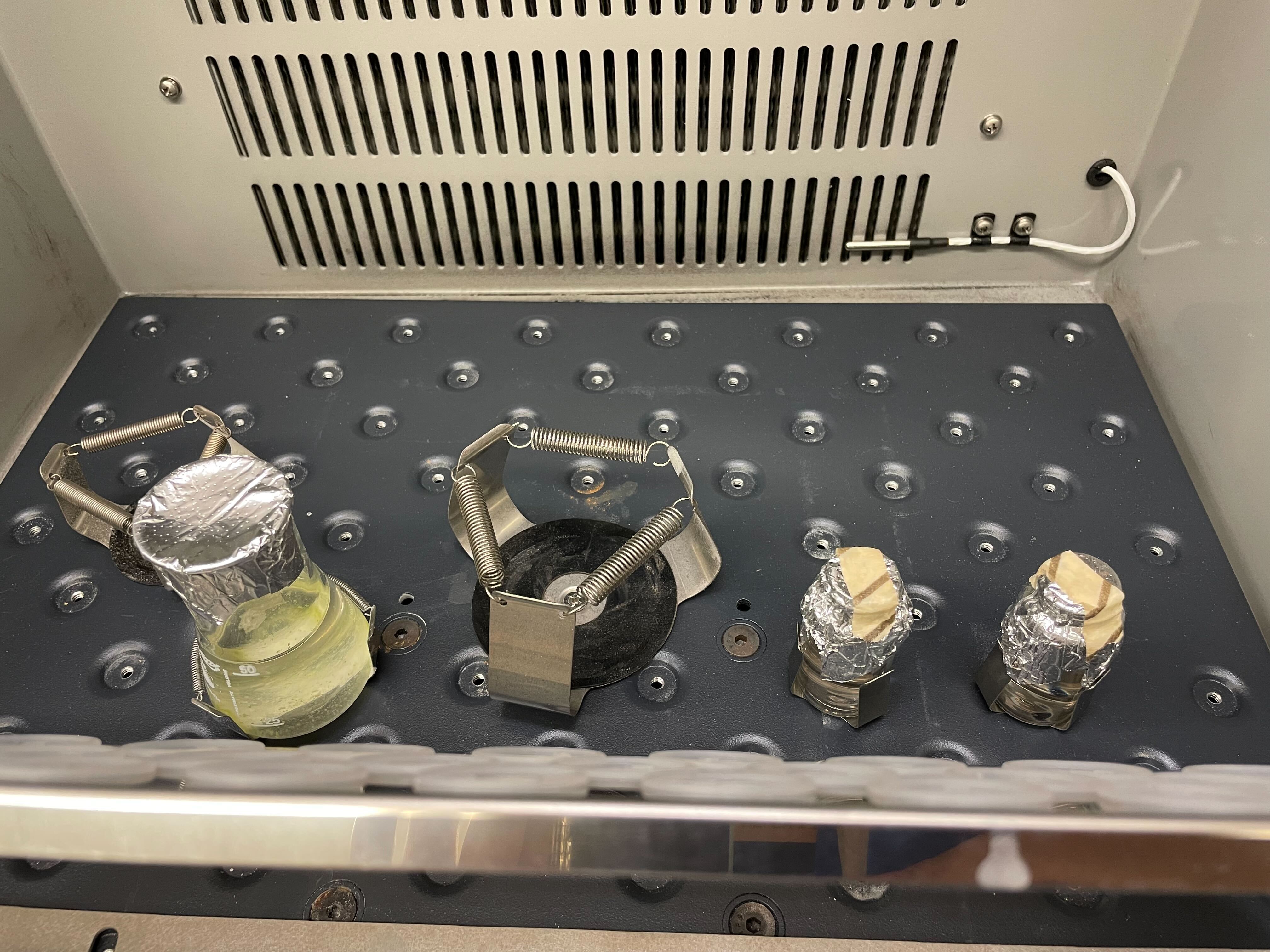 Some equipment Helen uses in the lab to grow cultures of cyanobacteria.